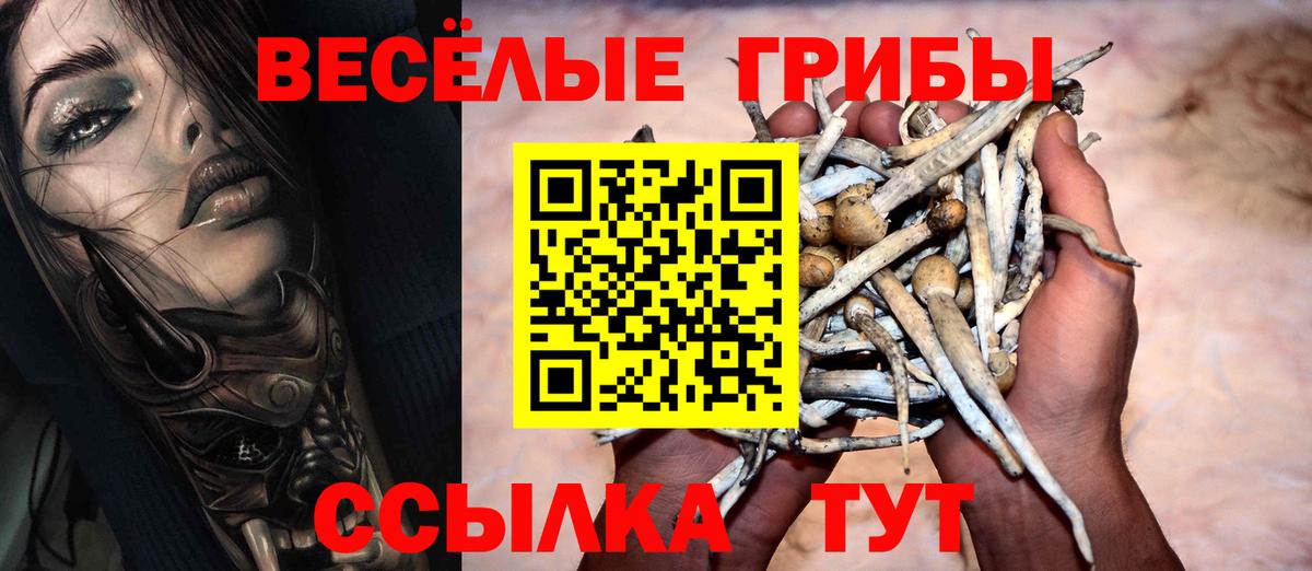 Черкесск  Псилоцибиновые грибы ЛСД  Вход с VPN 